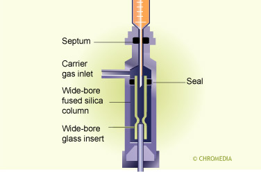 Positioning of 'wide bore' column in direct injector