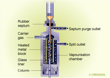 Split/splitless injector