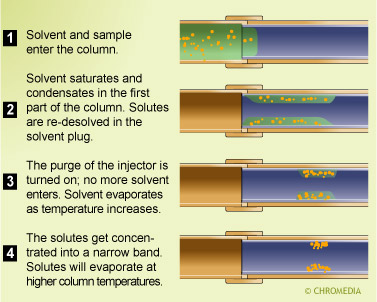 Solvent effect