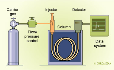 Scheme of a universal GC