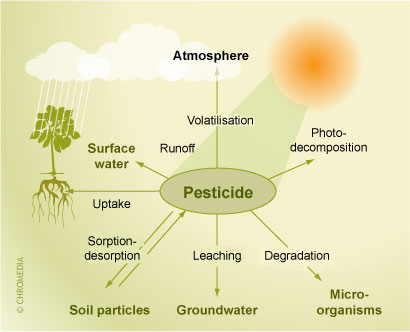 Pesticides fate and degradation