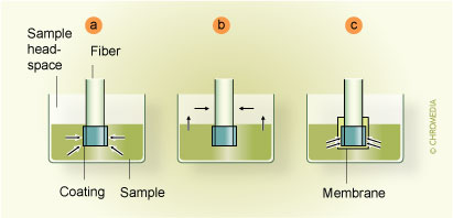 Fibre SPME modes: (a) direct extraction, (b) headspace SPME, 
(c) membrane-protected SPME