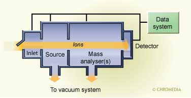 Scheme of the mass spectrometer