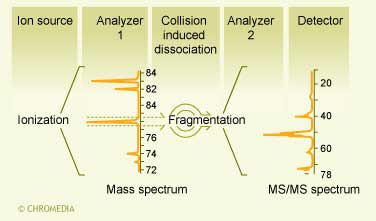 Tandem MS allows to repeat isolation and fragmentation