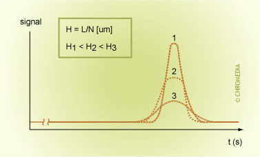 Peak width and plate height