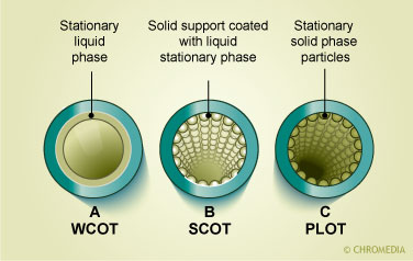 Cross-section of capillary columns