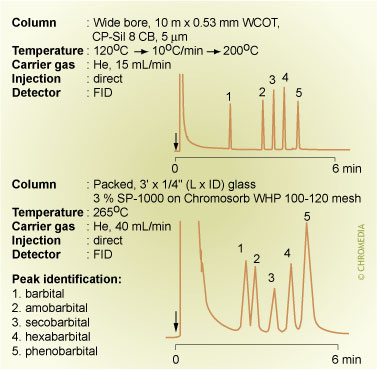 Packed vs wide-bore columns
