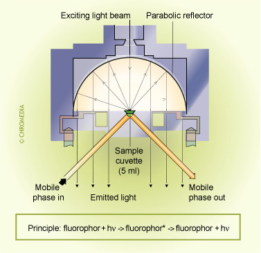 Principle of a fluorescence detector