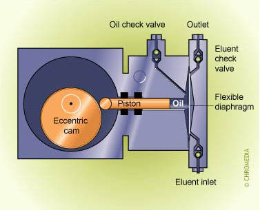Diaphragm pump