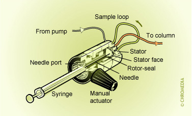 Ryeodyne injection valve