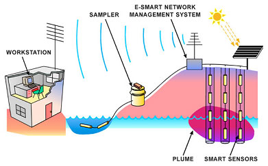 Environmental monitoring using smart sensor-based modules