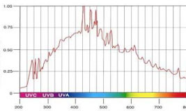 Spectral distribution of a xenon flash light