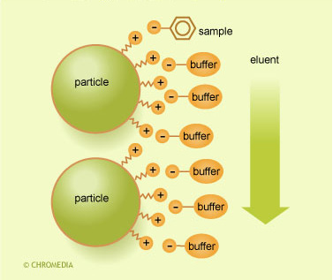 Ion exchange mechanism