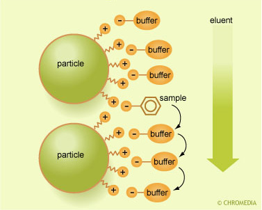 Ion exchange mechanism