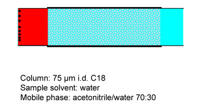 Solute focusing, click to download 
Power Point animation