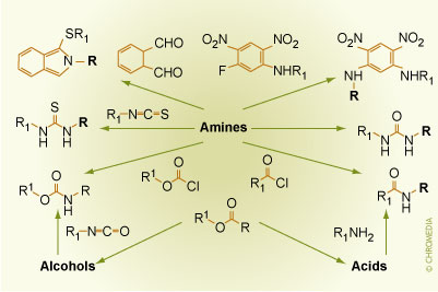 Common Reaction Pathways in Indirect Enantiomer Separation Concepts