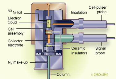 Electron capture detector (ECD)