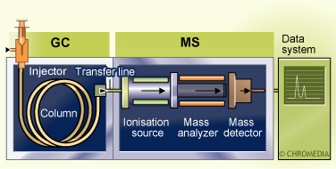 GC-MS