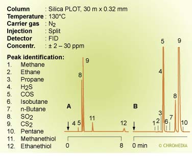 Sulphur compounds on SilicaPLOT
