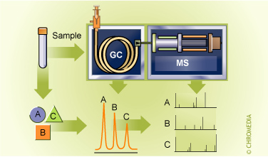 GC-mass spectrometry
