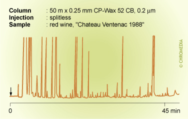 Splitless injection on CB phase