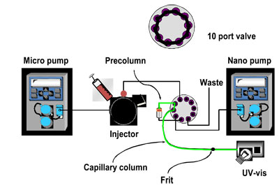 Schematic illustration of the nano-LC system used in [7].