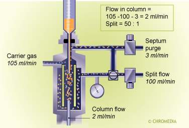 Split injector