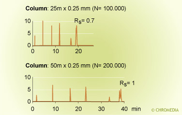 Resolution as function of column length