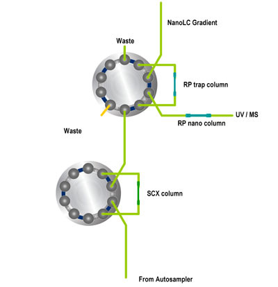 Schematic 2D-LC salt steps  (Click to open Power Point animation,Members only)