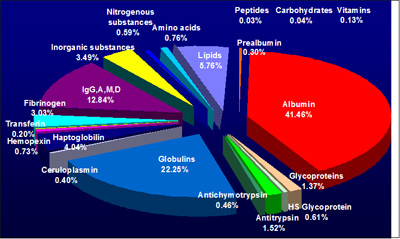 Detailed composition of blood plasma