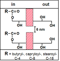 Topochemistry