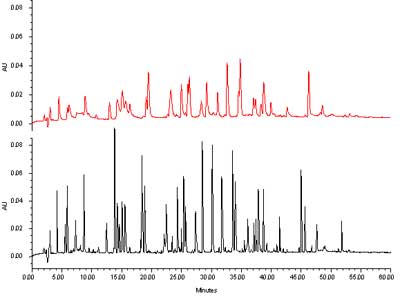 Separation of a protein hydrolysate on two columns with different particle sizes. (Click to enlarge)