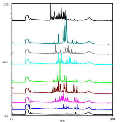 2D-LC chromatograms (Click for details)